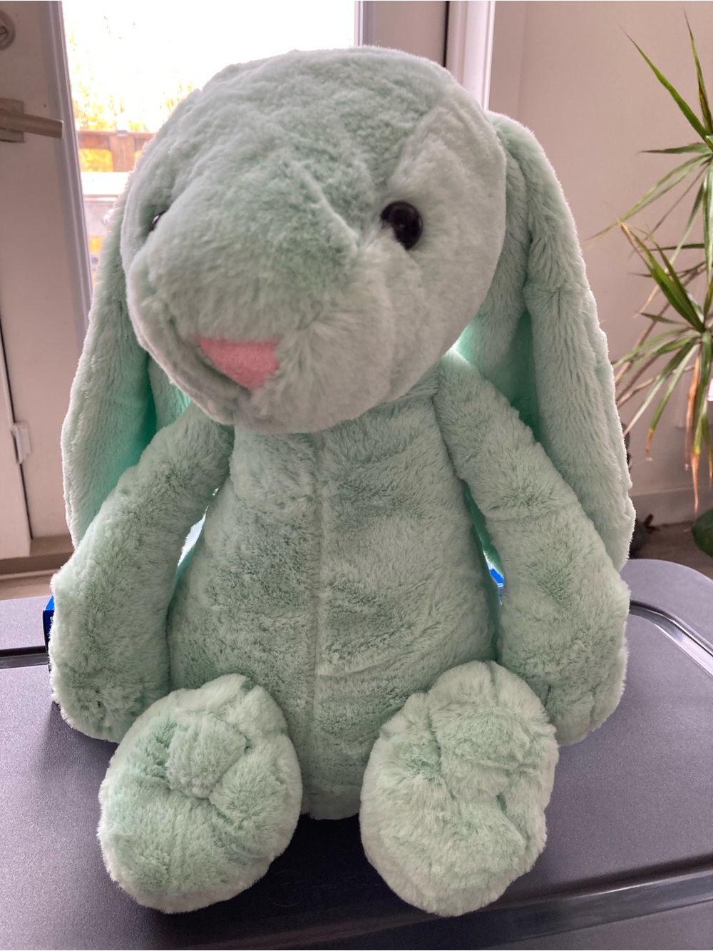 Bas3l Medium Bashful Bunny- Mint-Jellycat Plush